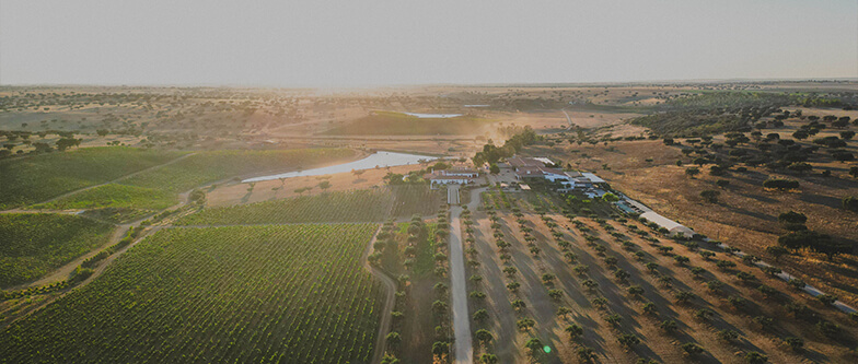 Herdade da Malhadinha Nova for Wedding Venue