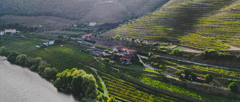 Quinta de São Bernardo for Wedding Location